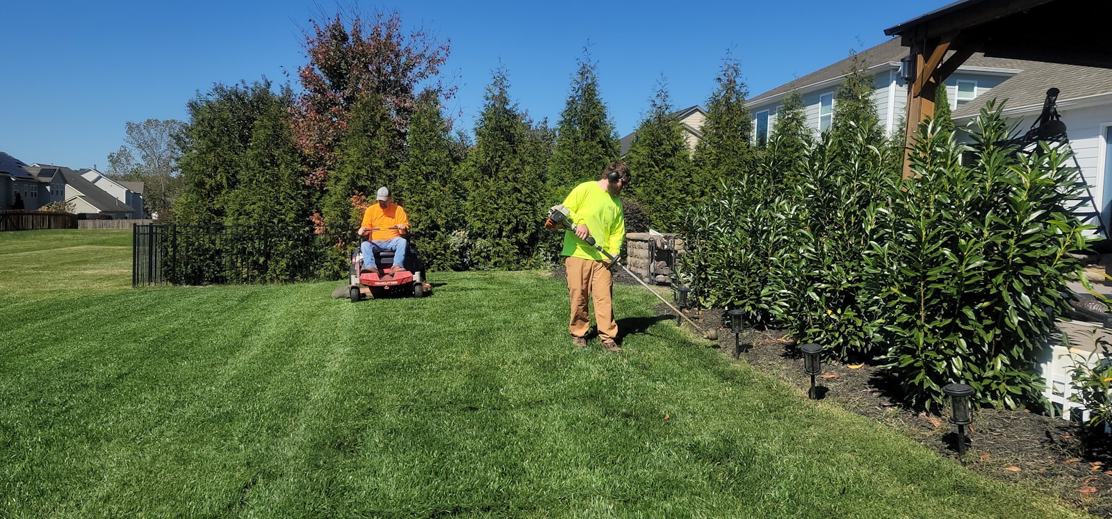 Lawn crew member walking a self-propelled mower across a thick green Bermuda lawn.